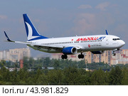 Пассажирский лайнер Boeing 737-800 авиакомпании "Anadolujet" (2024 год). Редакционное фото, фотограф Александр Тарасенков / Фотобанк Лори