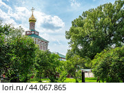Новодевичий монастырь. Храм Успения Пресвятой Богородицы. Москва, летний солнечный день. (2024 год). Стоковое фото, фотограф Лариса Гордеева / Фотобанк Лори