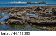 Littoral at low tide. The rocks of the seabed were exposed. There are green algae in shallow pools. The ocean is calm. An island in the distance against a blue sky and clouds. Madagascar. Nosy Be. Стоковое фото, фотограф Вера Ивановна Кубарева / Фотобанк Лори