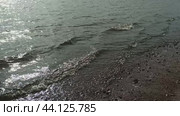 Финский залив у острова Котлин. Стоковое видео, видеограф Светлана Качанова / Фотобанк Лори