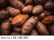 Abundant Sweet potato harvest. Generate Ai. Стоковое AI-изображение, AI-художник Иван Рябоконь / Фотобанк Лори