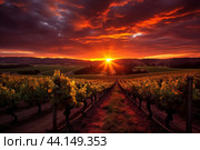 Vineyard at sunset: vivid sky over rolling wine country. Стоковое AI-изображение, AI-художник Иван Рябоконь / Фотобанк Лори
