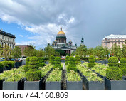 Вид из сада на Синем мосту, кусты подстрижены в форме шахмат, на Исаакиевский собор Санкт-Петербурга на фоне неба с облаками летним днем (2024 год). Стоковое фото, фотограф Елена Яворская / Фотобанк Лори