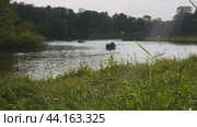 Boats with vacationing people float on the surface of the park pond. Russia. Moscow. Kuzminki Park. 17.08.2024. Редакционное видео, видеограф Ярославский Максим / Фотобанк Лори