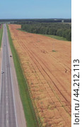 Vertical aerial video of buckwheat and sunflower fields along chuysky tract road in Altai region. Drone moves sideways. Стоковое видео, видеограф Сергей Пристяжнюк (Serg Zastavkin) / Фотобанк Лори