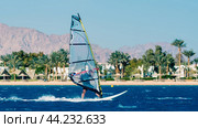 windsurfer rides on the waves of the Red Sea on the background of the beach with palm trees and high mountains in Egypt Dahab South Sinai. Стоковое фото, фотограф Артем Курутин / Фотобанк Лори