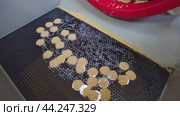 coin blank polishing process finished. Стоковое видео, видеограф Гурьянов Андрей / Фотобанк Лори