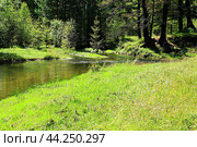 Речушка в тайге. Стоковое фото, фотограф Валерий Митяшов / Фотобанк Лори