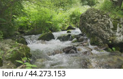 Bracing mountain brook flows in a swift torrent over a jumble of rocks, meandering through the untamed woodland. Стоковое видео, видеограф Strunov David / Фотобанк Лори
