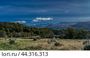 Beautiful autumn landscape. The yellowed grass in the meadow. A green forest on the shore of the lake. Picturesque mountains against a blue sky and clouds. Argentina. Tierra del Fuego National Park. Стоковое фото, фотограф Вера Ивановна Кубарева / Фотобанк Лори