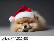Infant doggo in scarlet Santa hat during Christmas. Стоковое AI-изображение, AI-художник Анастасия Золотницкая / Фотобанк Лори
