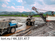 Золотосодержащий грунт на золотодобывающих полигонах Якутии транспортируется на промывку карьерными самосвалами  . Восточная Сибирь, Республика САХА, ЯкутияЭ, Оймяконский район. Стоковое фото, фотограф Павел Просянов / Фотобанк Лори
