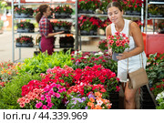 Young girl choosing vinca flower in garden-pot in plants market. Стоковое фото, фотограф Яков Филимонов / Фотобанк Лори