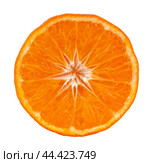 Round halve of mandarin isolated on white background. Стоковое фото, фотограф Михаил Строгалев / Фотобанк Лори
