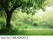 Rejuvenating Arbor tree day nature. Generate Ai. Стоковое AI-изображение, AI-художник Иван Рябоконь / Фотобанк Лори