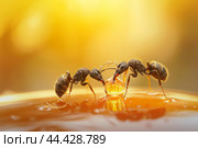 Tiny Ants honey drop sunlight. Generate Ai. Стоковое AI-изображение, AI-художник Иван Рябоконь / Фотобанк Лори