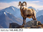 Mountain wild argali on the top of a rock against the backdrop of a mountain landscape. Стоковое AI-изображение, AI-художник Veniamin Kraskov / Фотобанк Лори