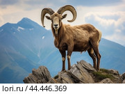 Mountain wild argali on the top of a rock against the backdrop of a mountain landscape. Стоковое AI-изображение, AI-художник Veniamin Kraskov / Фотобанк Лори