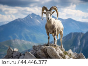 Mountain wild argali on the top of a rock against the backdrop of a mountain landscape. Стоковое AI-изображение, AI-художник Veniamin Kraskov / Фотобанк Лори