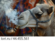Humorous camel smoking a pipe. Стоковое AI-изображение, AI-художник Иван Рябоконь / Фотобанк Лори
