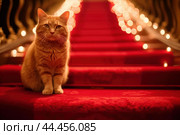 Elegant cat on red carpeted stairs. Стоковое AI-изображение, AI-художник Иван Рябоконь / Фотобанк Лори