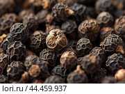Granular Black pepper closeup. Generate Ai. Стоковое AI-изображение, AI-художник Иван Рябоконь / Фотобанк Лори