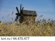 Деревянная мельница в историко-православном музее "Кижи". остров Кижи, Карелия, Россия (2015 год). Стоковое фото, фотограф Дымов Игорь / Фотобанк Лори