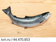 Fresh raw salmon red fish on wooden background. gutted trout carcass lies on wooden board for cutting fish. Fresh raw salmon red fish. whole salmon carcass on wooden background. Стоковое фото, фотограф Павел Муравьев / Фотобанк Лори