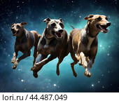Hounds dogs in the starry sky. Hounds dogs (Latin Canes Venatici) is a constellation in the northern celestial hemisphere. 57 stars visible to the naked eye. Best visibility in March-April. Visible throughout Russia. Стоковое AI-изображение, AI-художник Сергей Елизарьев / Фотобанк Лори