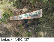 Лозунг "Береги муравья!". Урочище Монахи, Челябинский городской бор (2024 год). Стоковое фото, фотограф Алексей Иванов / Фотобанк Лори