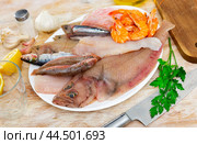 Raw megrim fish served with parsley. Стоковое фото, фотограф Яков Филимонов / Фотобанк Лори