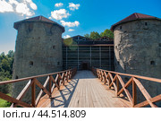 Fortress Koporye. Leningrad region (2024) Стоковое фото, фотограф Анна Кривицкая / Фотобанк Лори