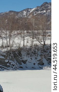 Vertical video from sideways moving drone on lonely Pine tree on rock on Altai river Katun in winter. Rocks called Dragon's teeth. Стоковое видео, видеограф Сергей Пристяжнюк (Serg Zastavkin) / Фотобанк Лори