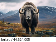 Musk ox on a pasture in the wild. Стоковое AI-изображение, AI-художник Veniamin Kraskov / Фотобанк Лори