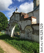 Микулино (2022 год). Стоковое фото, фотограф Татьяна Иваничкина / Фотобанк Лори