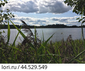 Рутавечь (2019 год). Редакционное фото, фотограф Татьяна Иваничкина / Фотобанк Лори