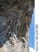 Basalt columns in Garni Gorge, Armenia (2021 год). Стоковое фото, фотограф Юлия Белоусова / Фотобанк Лори