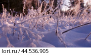 Winter landscape covered in snow, shot at sunset in the forest. Зимний заснеженный пейзаж , снятый на закате в лесу. Стоковое видео, видеограф Валерий Тесаков / Фотобанк Лори
