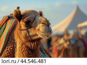 Majestic camel portrait at dusk. Стоковое AI-изображение, AI-художник Иван Рябоконь / Фотобанк Лори