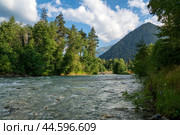 View of the confluence of the Kyzgych and Psysh rivers forming the Bolshoy Zelenchuk River in the northern foothills of the Caucasus Mountains on a summer day, Arkhyz, Karachay-Cherkessia, Russia. Стоковое фото, фотограф Ula Ulachka / Фотобанк Лори
