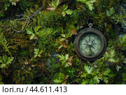 Vintage compass amidst lush green moss. Стоковое AI-изображение, AI-художник Иван Рябоконь / Фотобанк Лори