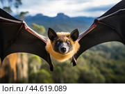 Spectacled flying fox in the wild. Стоковое AI-изображение, AI-художник Veniamin Kraskov / Фотобанк Лори