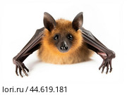 Spectacled flying fox isolated on a white background. Стоковое AI-изображение, AI-художник Veniamin Kraskov / Фотобанк Лори