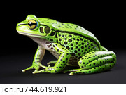 Beautiful green toad closeup. Стоковое AI-изображение, AI-художник Veniamin Kraskov / Фотобанк Лори