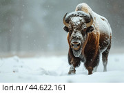 Pristine Bison snow winter forest. Generate Ai. Стоковое AI-изображение, AI-художник Иван Рябоконь / Фотобанк Лори