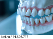 Detailed 3d dental model showing human teeth. Стоковое AI-изображение, AI-художник Иван Рябоконь / Фотобанк Лори