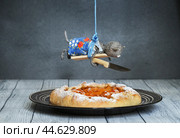 Смешная кукольная сцена, кошка зависла над пирогом. Стоковое фото, фотограф Dmitry29 / Фотобанк Лори