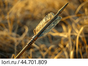 Sharp metal arrow with feather fletching lying on dry grass. Стоковое AI-изображение, AI-художник Иван Рябоконь / Фотобанк Лори