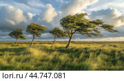 Windswept trees enduring the force of nature in a vast grassland. Стоковое AI-изображение, AI-художник Юрий Поздников / Фотобанк Лори