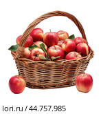 Ripe red apples in wicker basket. Стоковое AI-изображение, AI-художник Иван Рябоконь / Фотобанк Лори